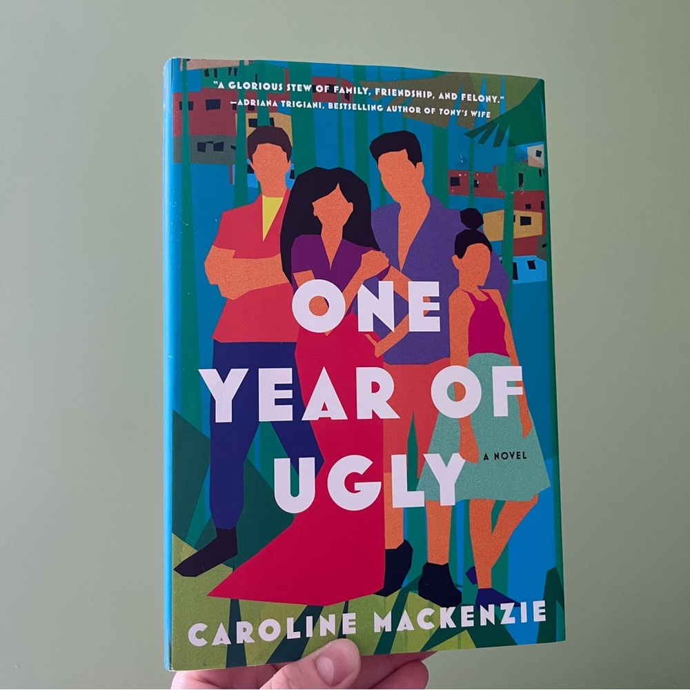 📚4/25$📚
One Year of Ugly Hardcover Book | Booktok